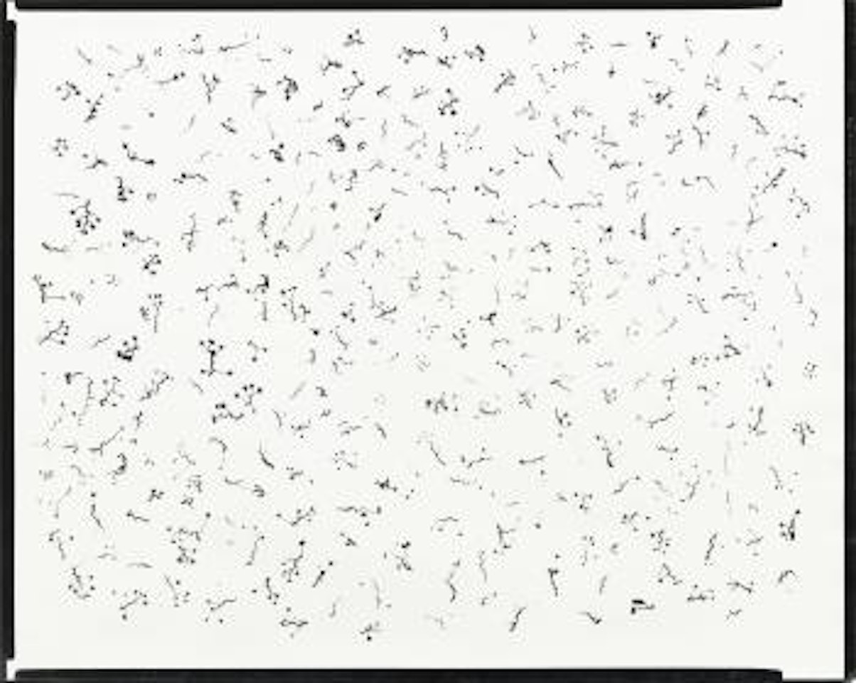 Ivy Tentacles On Glass, Chicago by Harry Callahan