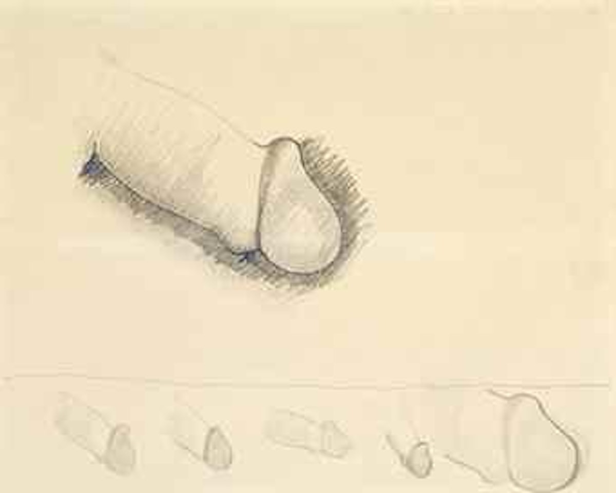 Sketchbook Page of Penises by Tom Wesselmann