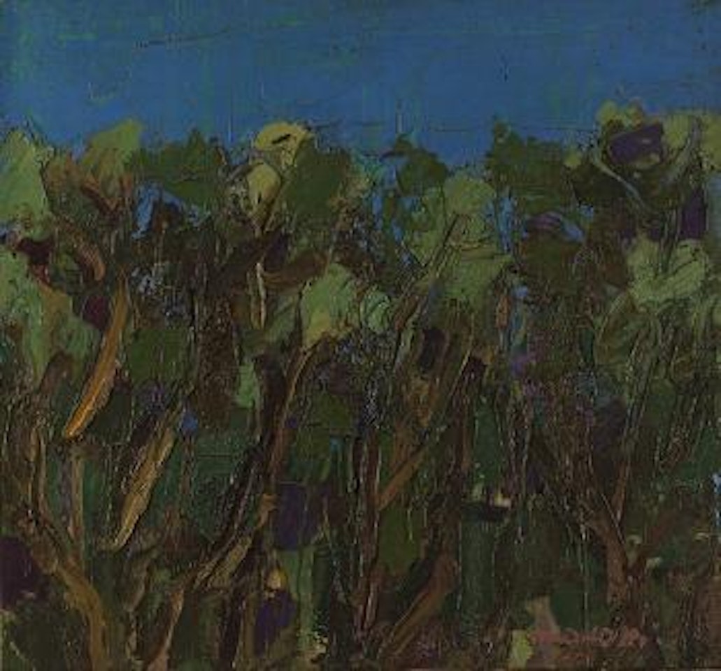 Ulivi a Bordighera by Ennio Morlotti