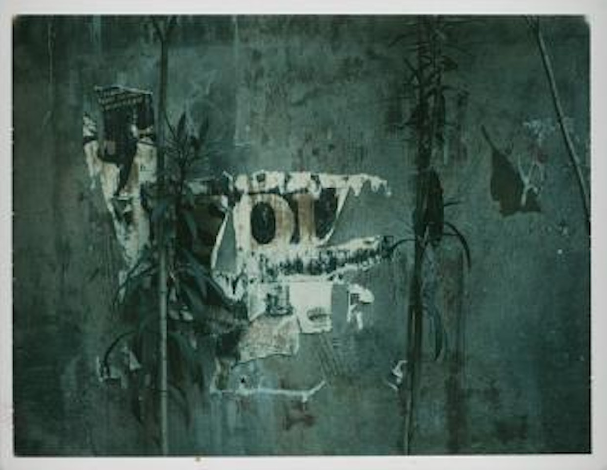 Dalla serie Still life, Modena by Luigi Ghirri