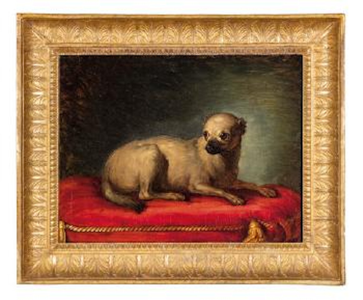 Ritratto di cane by Neapolitan School