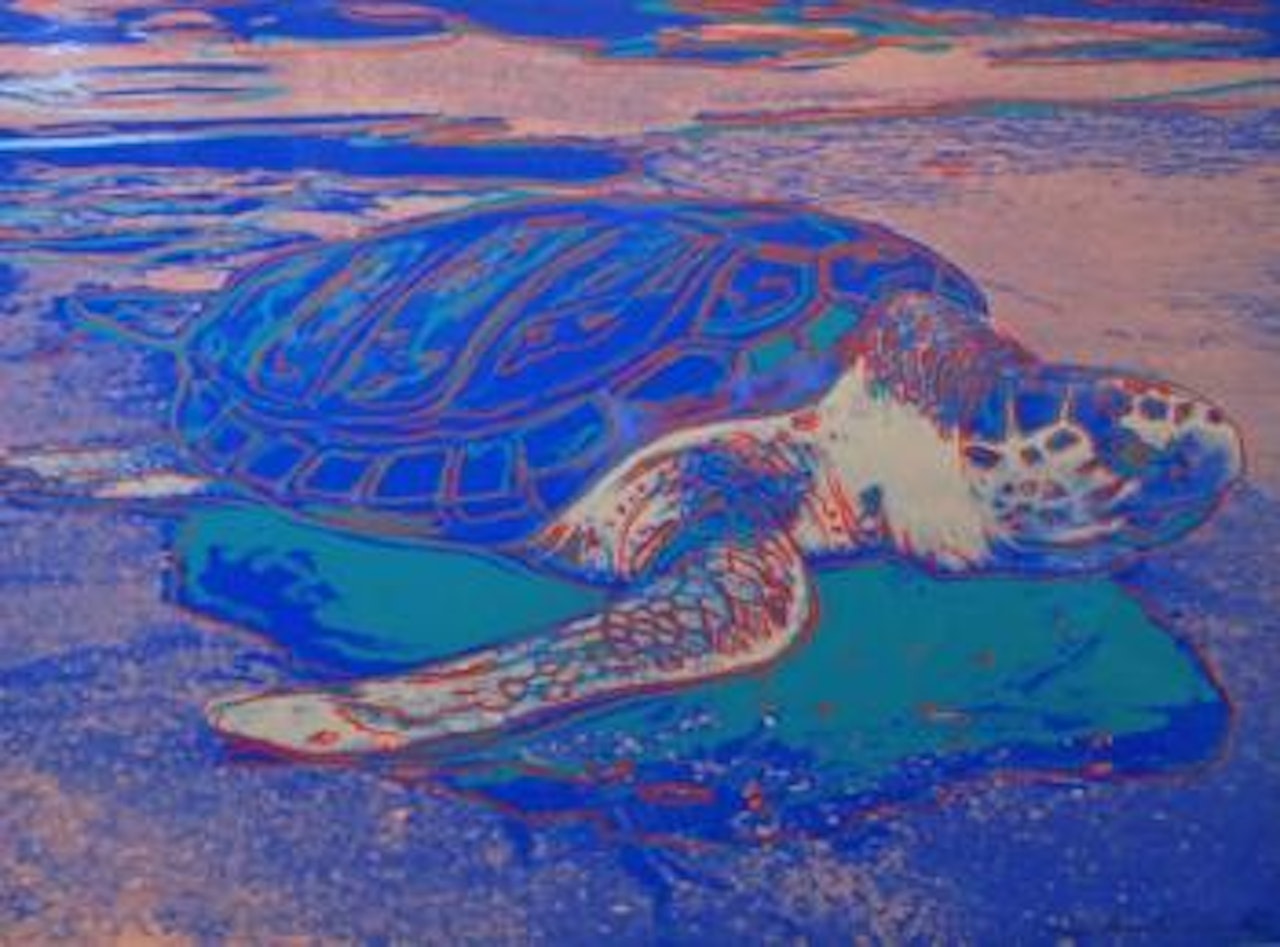 Turtle by Andy Warhol