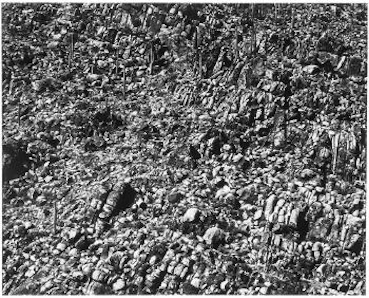 Arizona Landscape (from Arizona Landscape series) by Frederick Sommer
