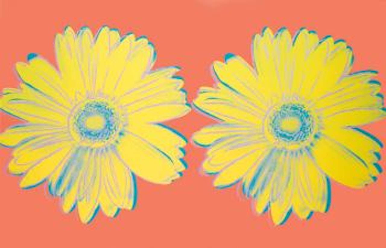 Daisy by Andy Warhol