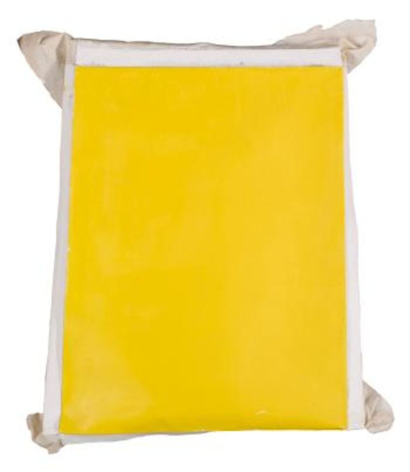 Yellow by Richard Aldrich