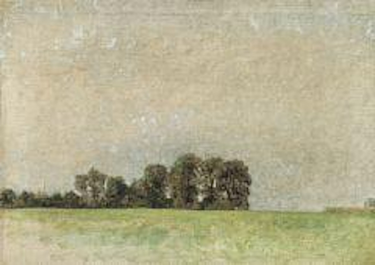 Landskabsstudie. Landscape study. Early spring.  In the foreground a wide, bright green field. In the middle and to the left a group of trees, which decreases towards the left. Light grey sky by Vilhelm Hammershoi