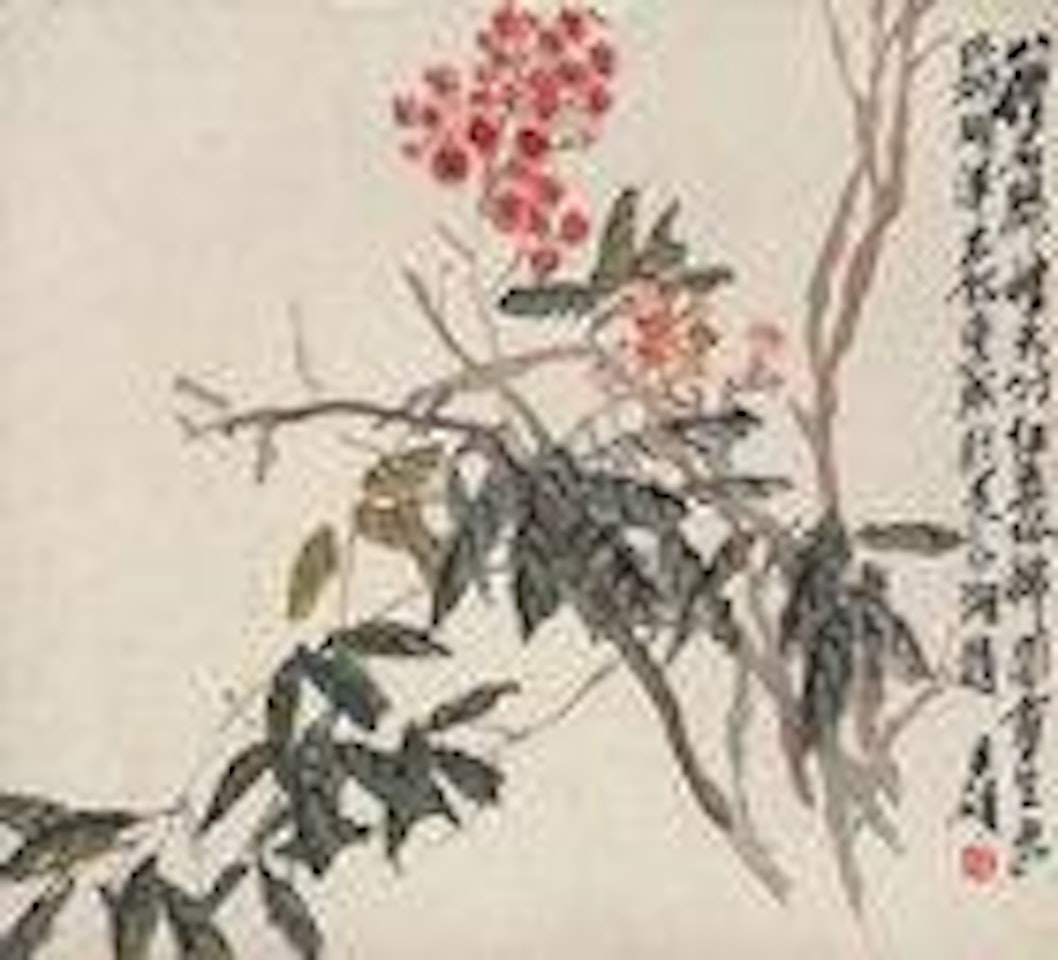 Pelargonium by Wu Changshuo