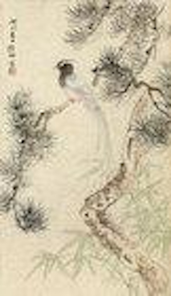 Paradisi and Pine by Lu Yifei
