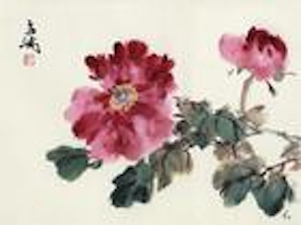 Peony by Wang Xuetao