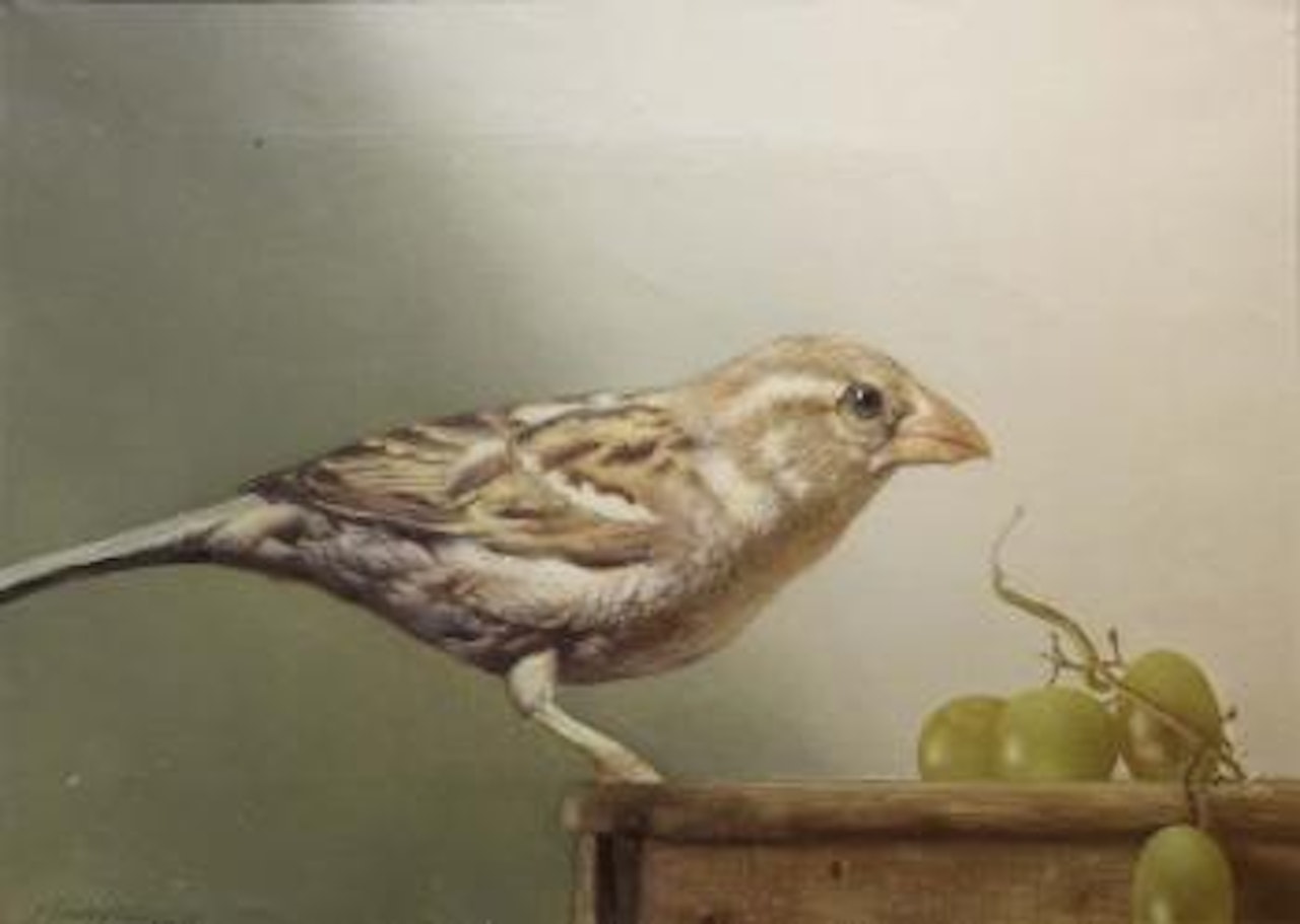 Bird and grapes by Patrick Hennessey