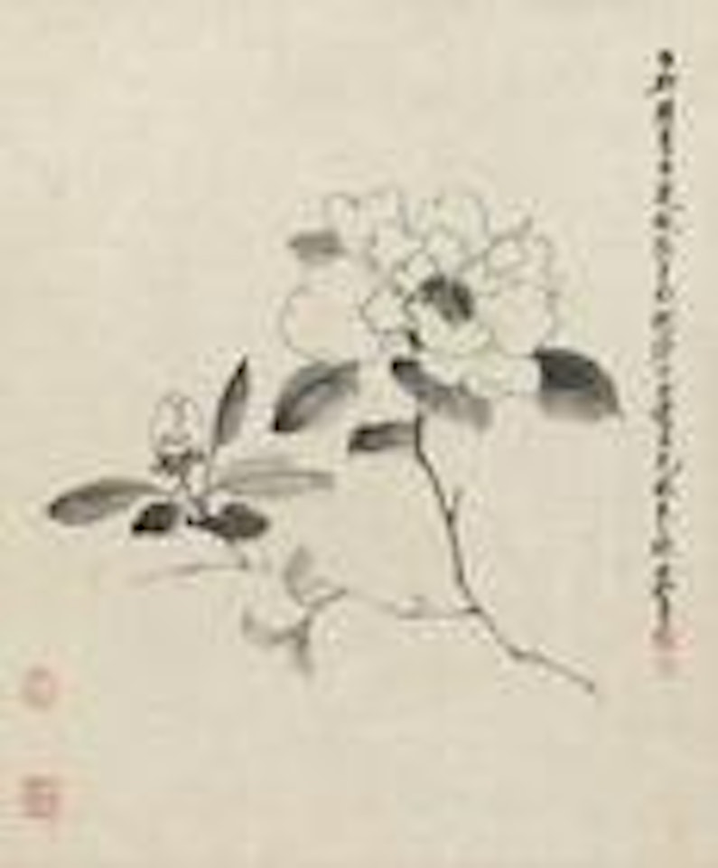Flowers by Xie Zhiliu