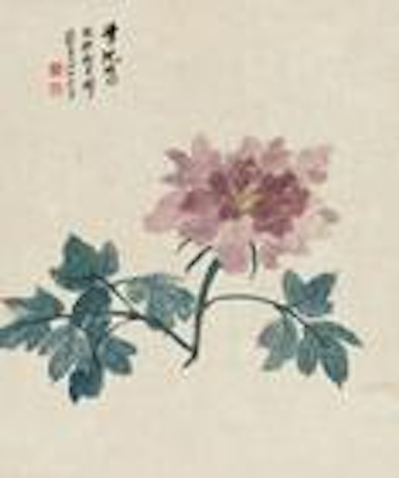 Peony by Xie Zhiliu