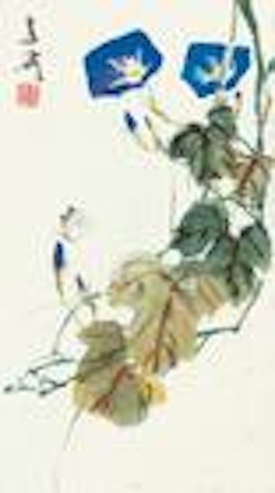 Morning-glory by Wang Xuetao