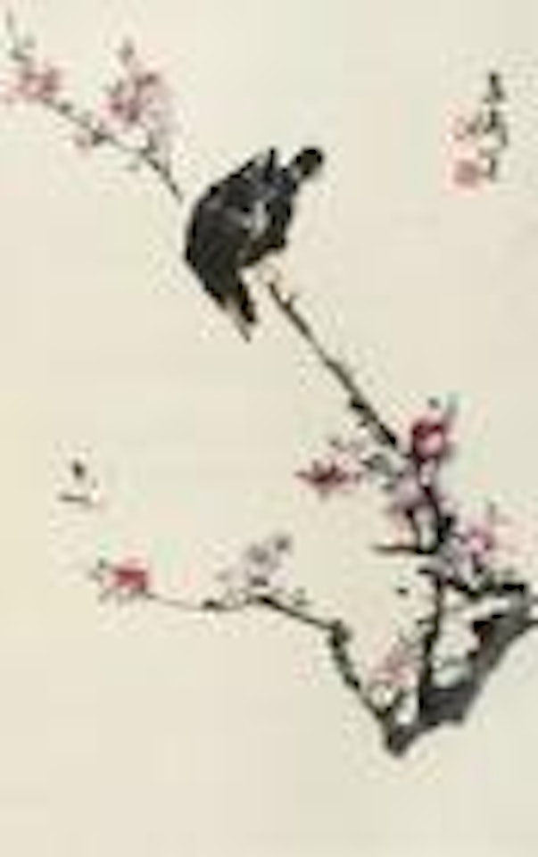 Mynah Bird and Plum by Wang Xuetao
