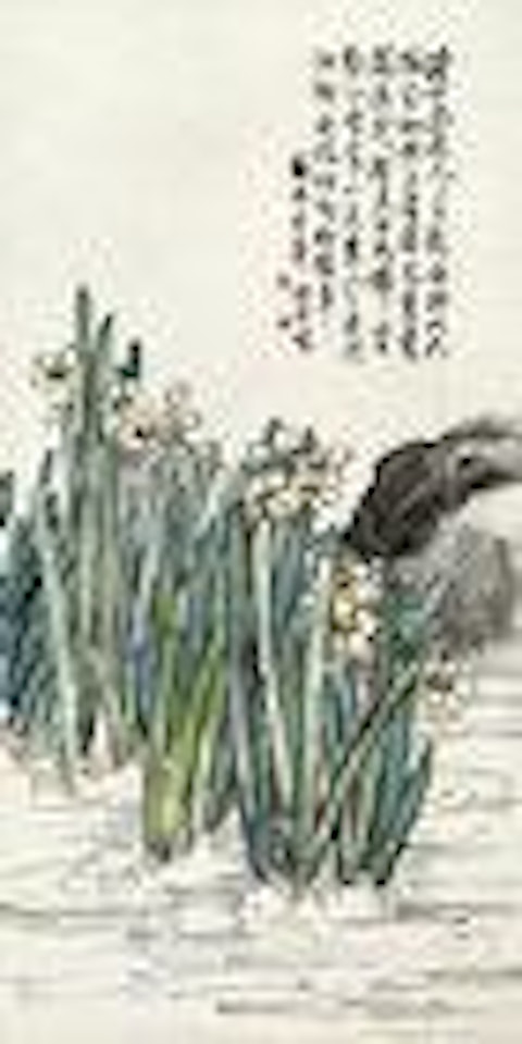 Daffodil by Chen Banding