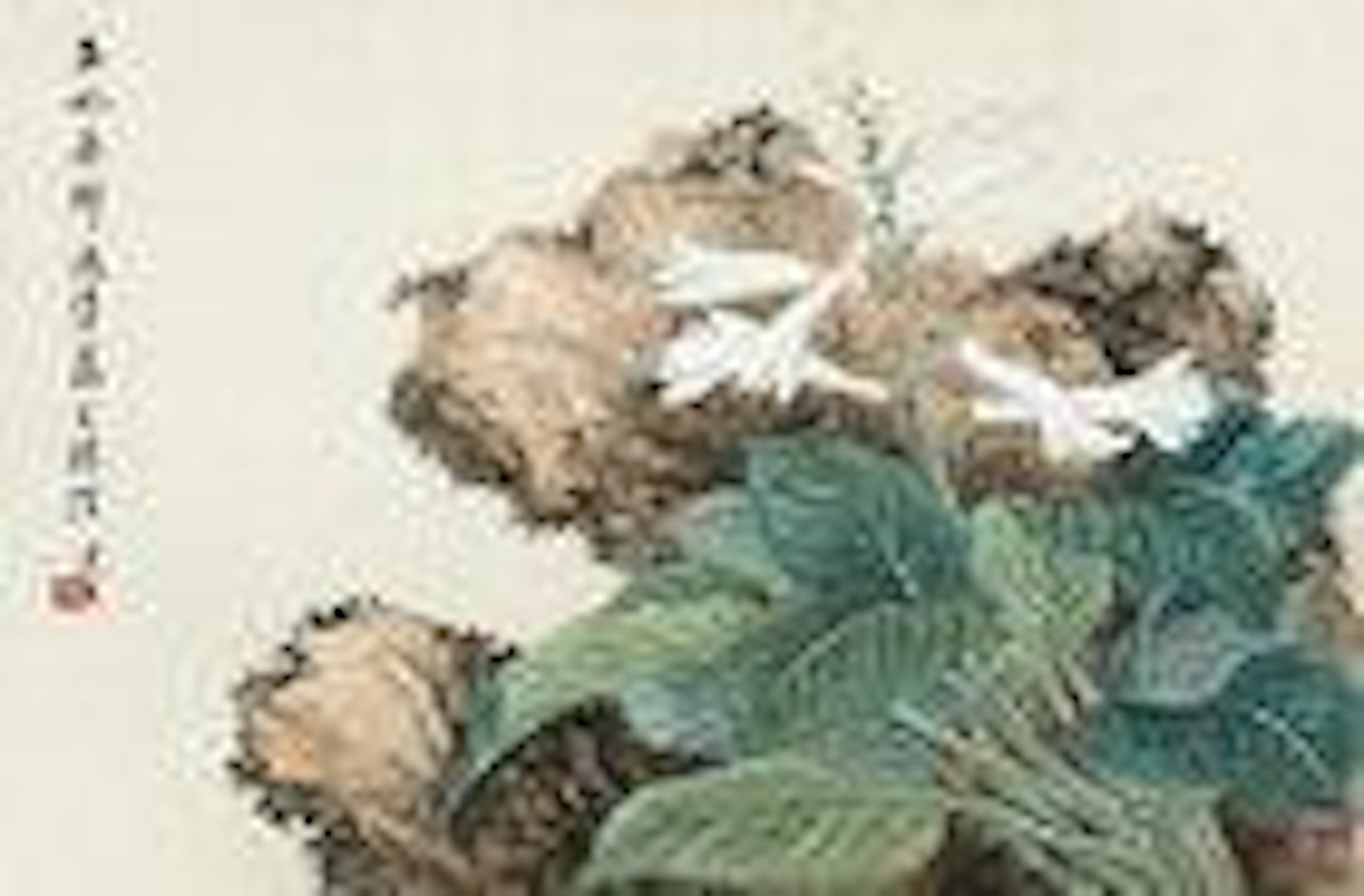 Flower and Rock by Lengyue Tao