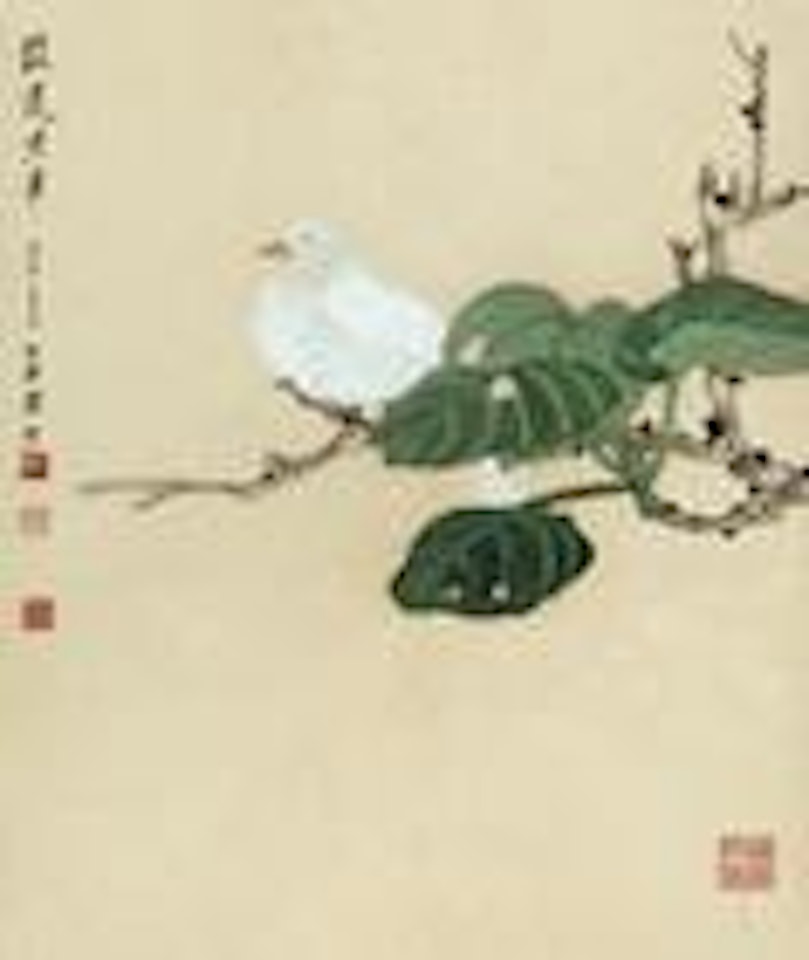 Bird and flower by Xie Zhiliu
