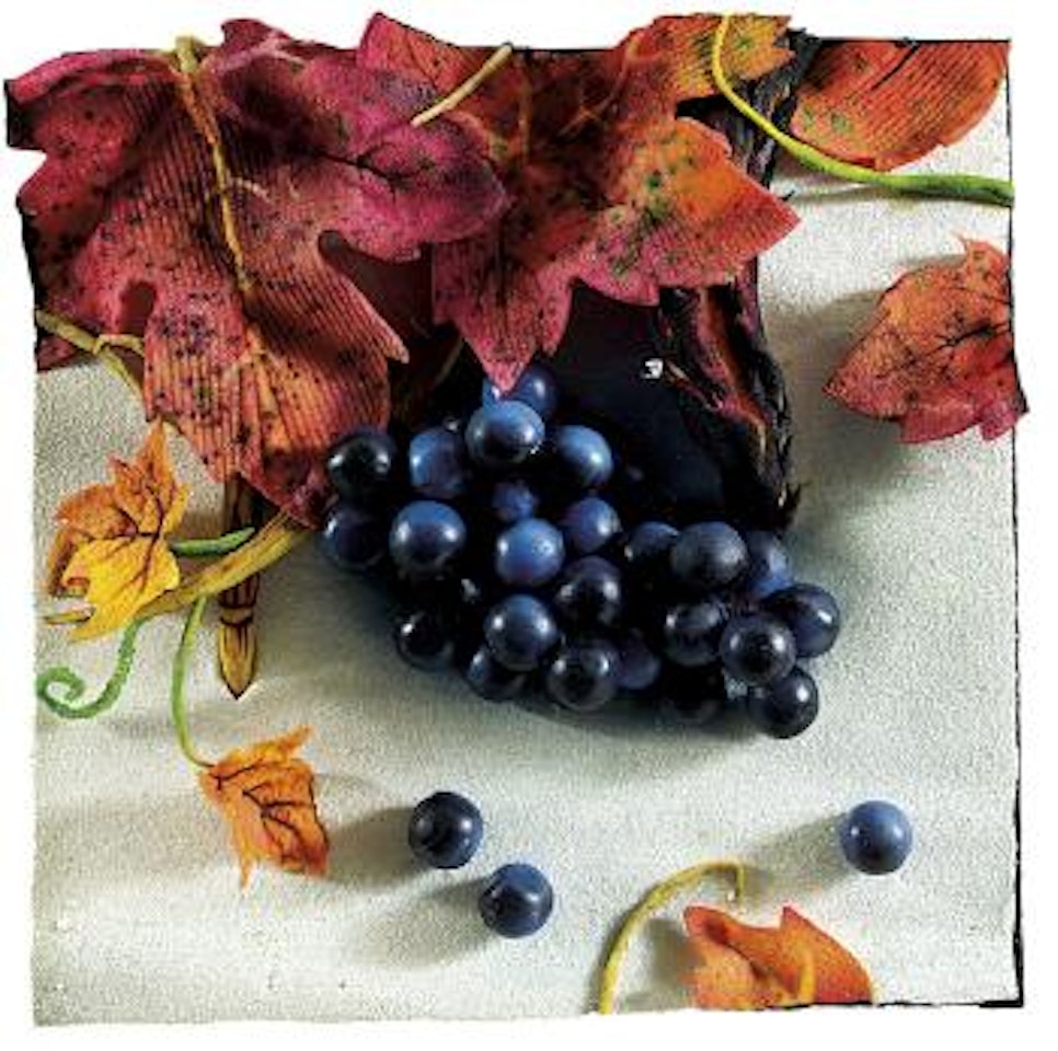 Vigna nella neve by Piero Gilardi