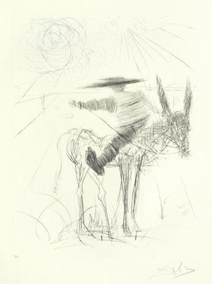 Sancho Pança (Michler & Löpsinger 452) by Salvador Dali