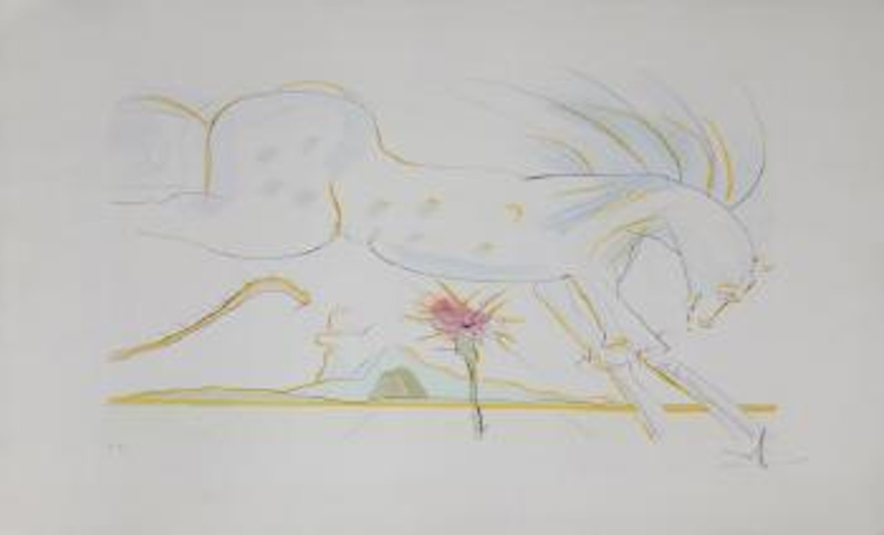 The Horse and Wolf by Salvador Dali