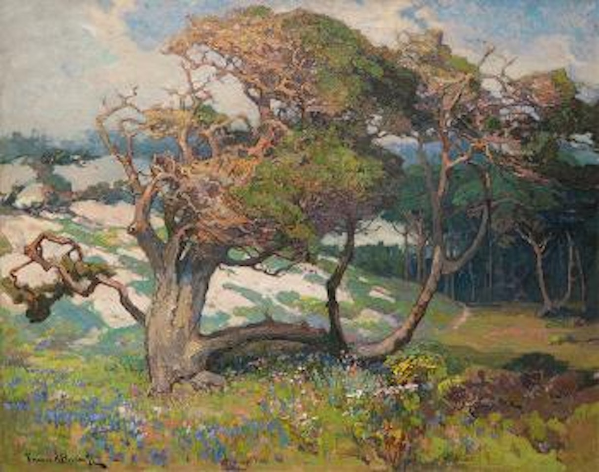Sand Dunes and Pines, Monterey Coast, Calif. by Franz A Bischoff