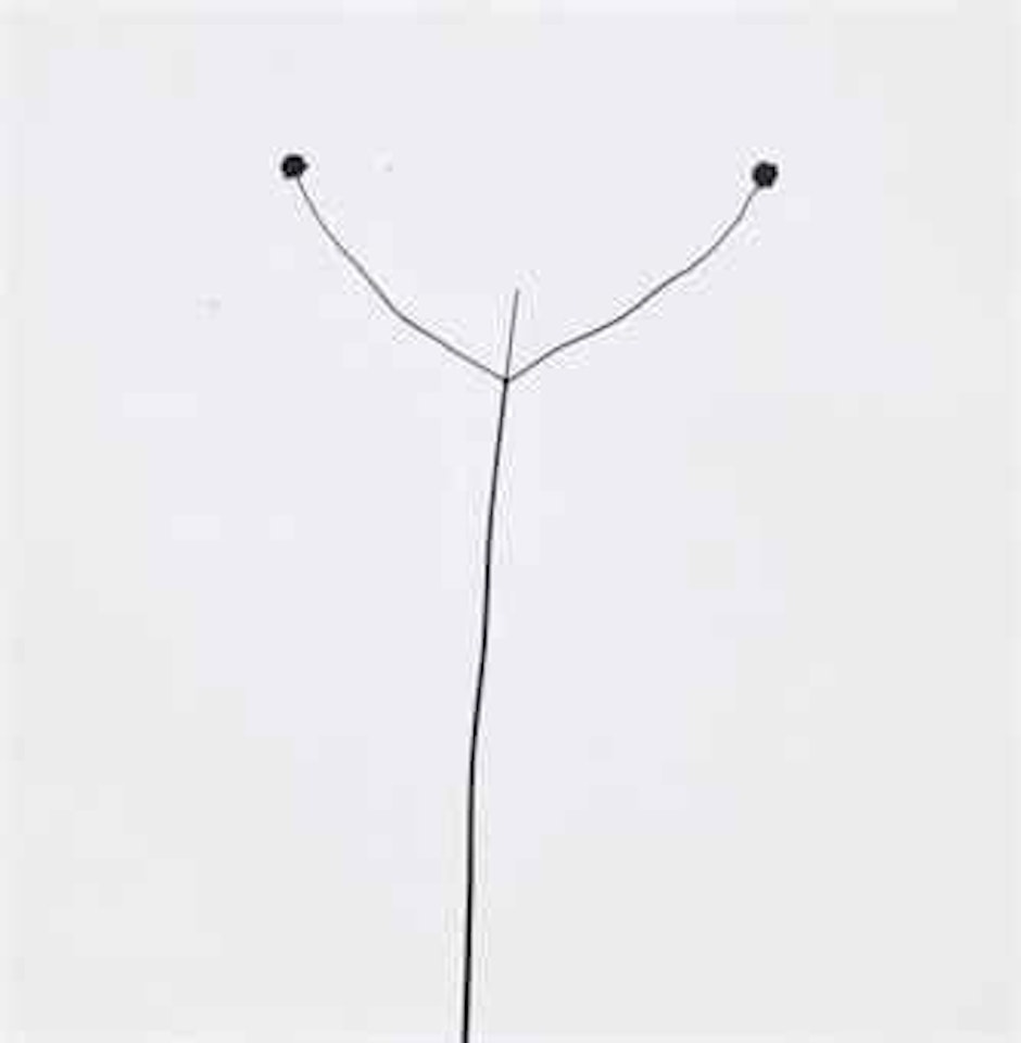 Weed Against Sky, Detroit, 1948 by Harry Callahan