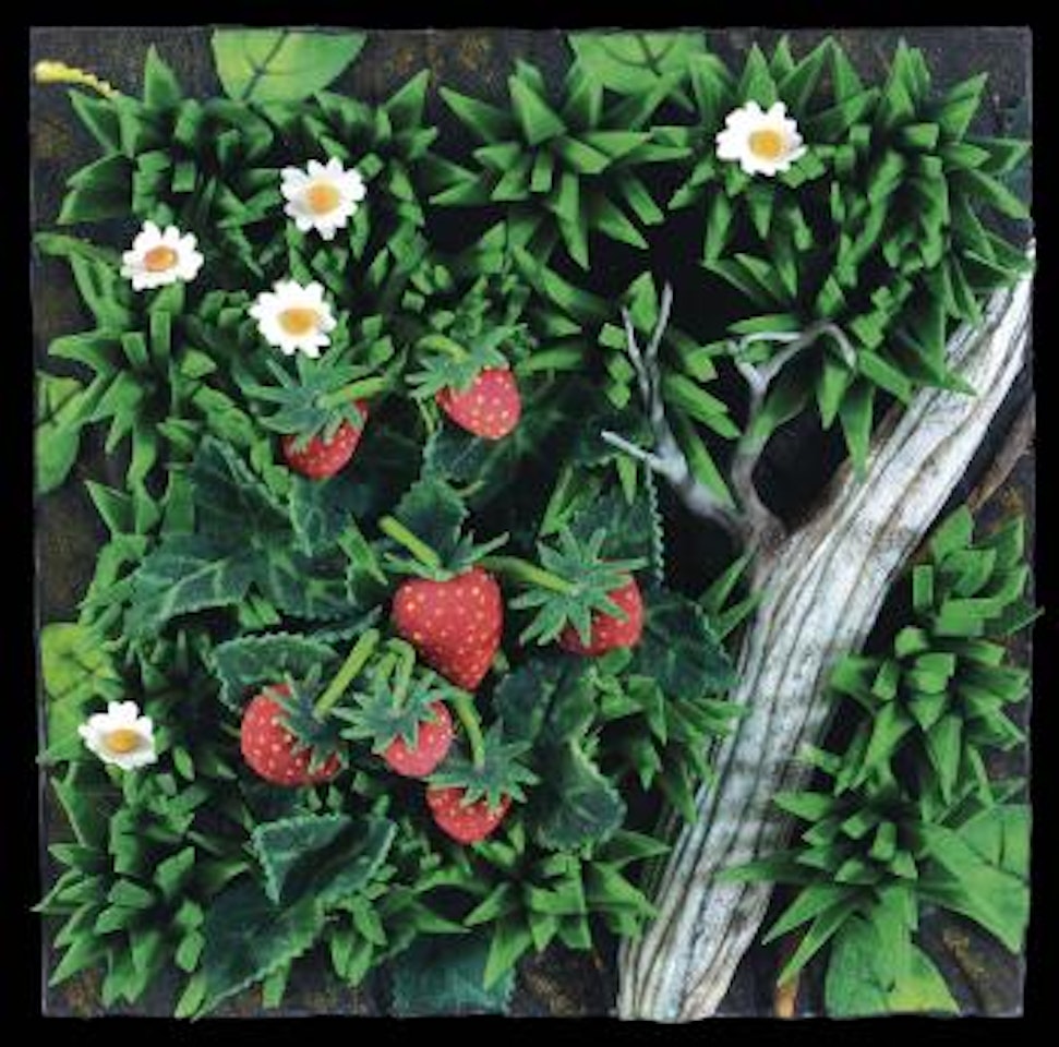 Fragole primaverili by Piero Gilardi