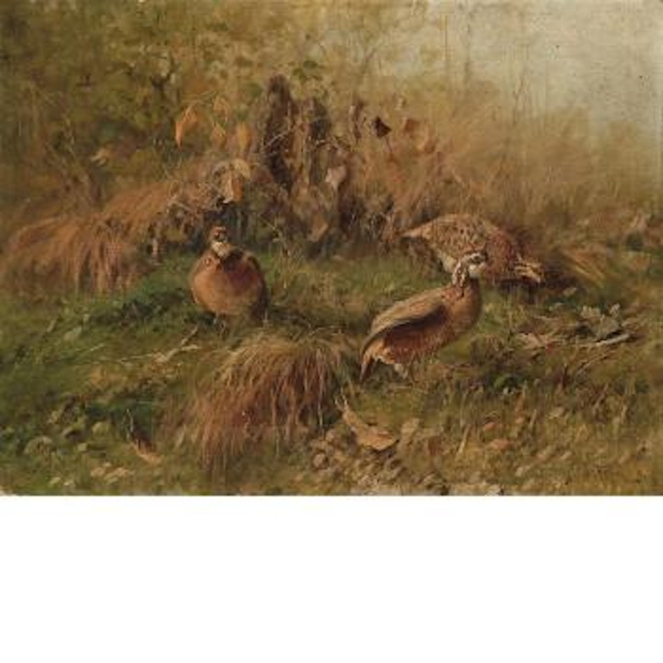 Three Quail in a Landscape by John Fery