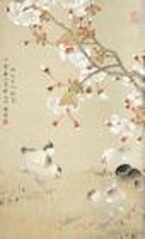 Bird and Flower by Chen Zhifo
