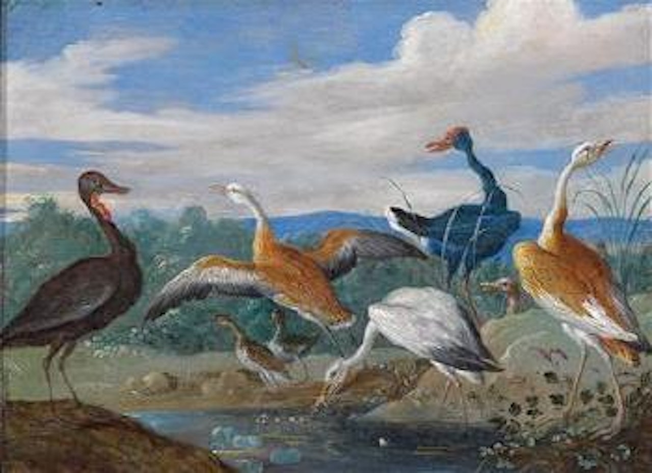 A landscape with birds near a pool by Jan Van Kessel The Elder