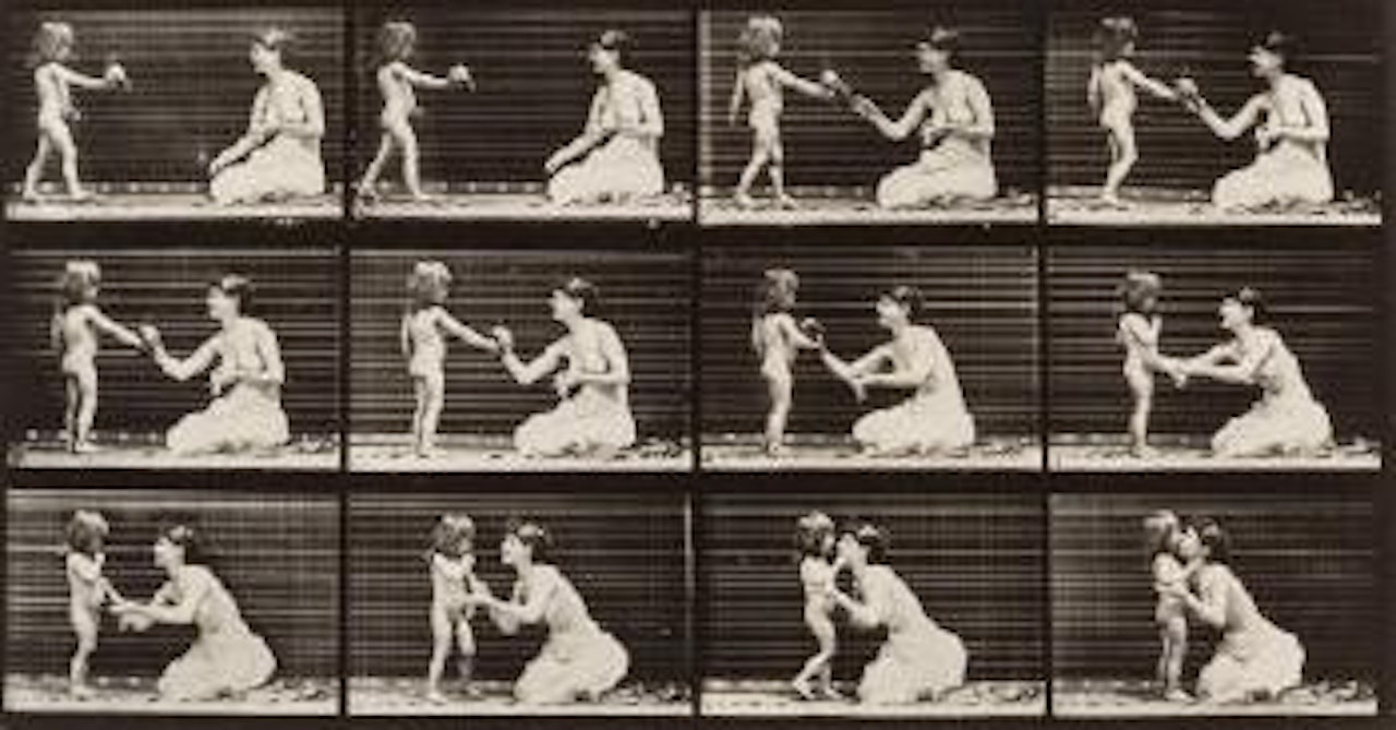 Animal Locomotion, plate 465 by Eadweard Muybridge
