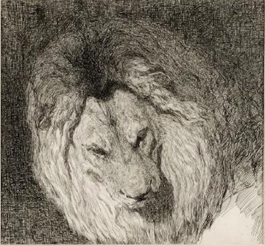 Tête de lion by Paul Jouve