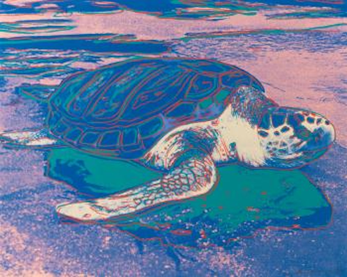 Turtle (F & S Ii360a) by Andy Warhol