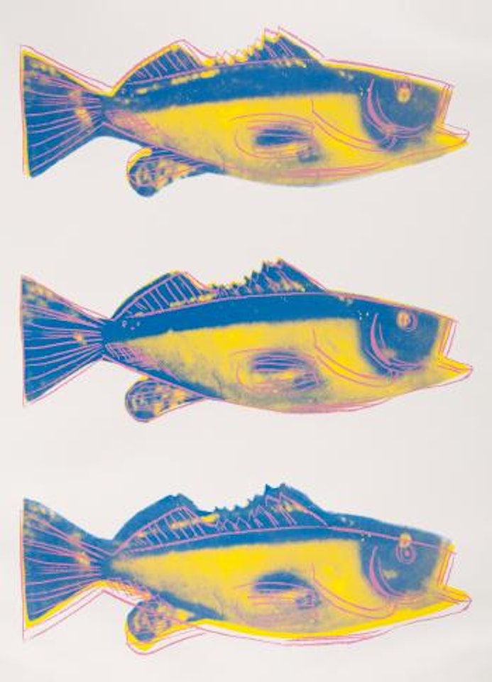 Fish (F & S Iiia41) by Andy Warhol