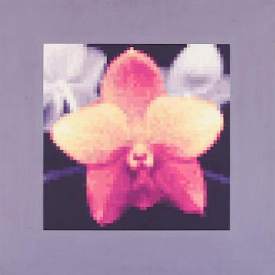 Orchidée Digitalisée (No. Orc 237) by Jean-Pierre Yvaral