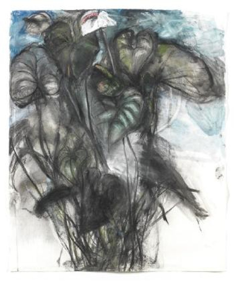 Sans titre by Jim Dine