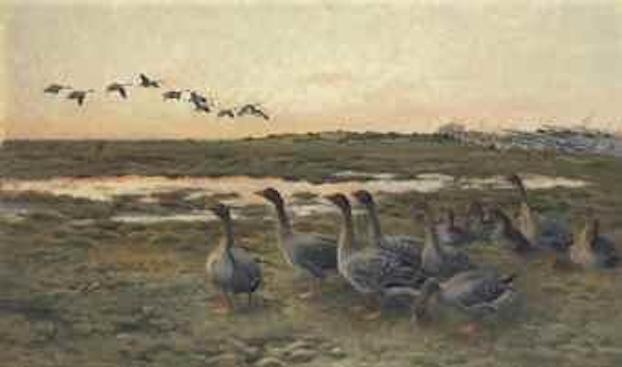 Bean Geese in a marshy Landscape by Bruno Liljefors