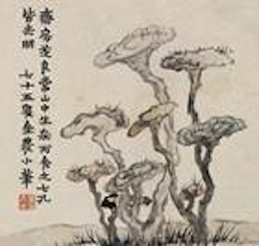 Ganoderma by Jin Nong