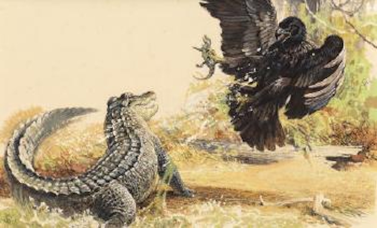 The Way of the Eagle, Reader's Digest interior illustrations (two works) by Bob Kuhn
