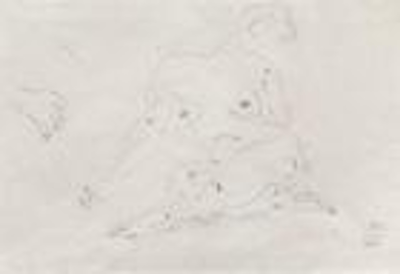 Nude Lady by Sanyu