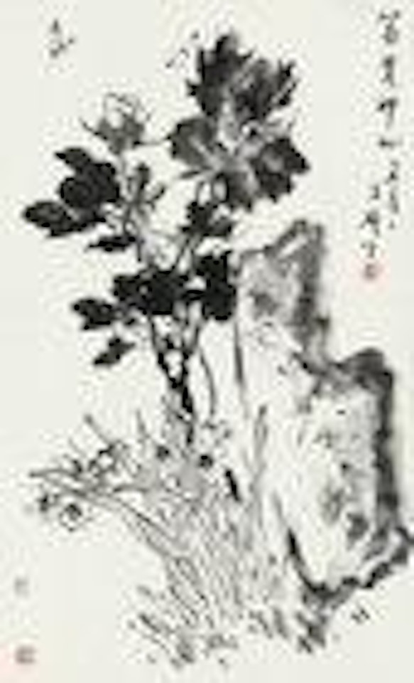 Peony, Narcissus and Rock by Wang Xuetao