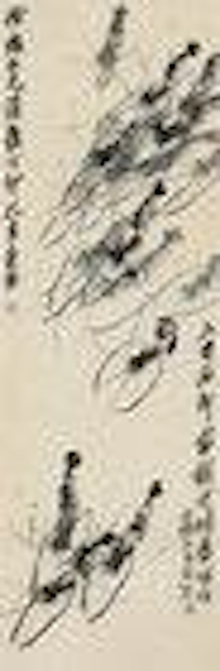 ink Shrimp by Qi Baishi