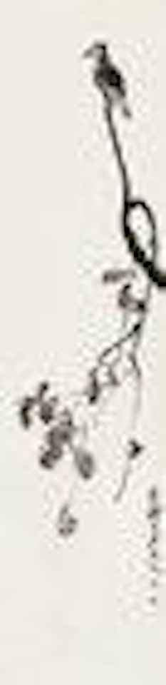 Bird by Qi Baishi