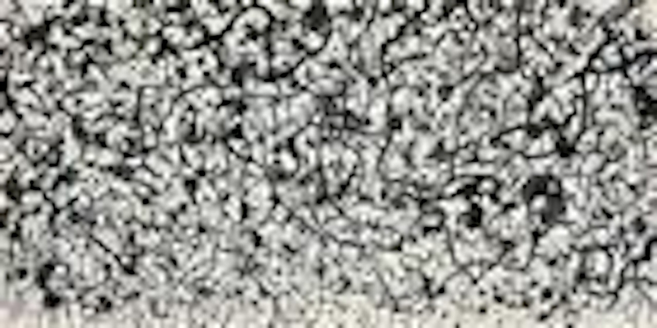 Vines by Wu Guanzhong