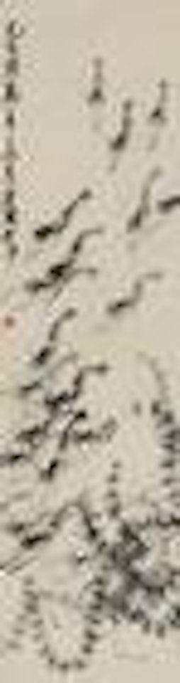 Shrimps by Qi Baishi