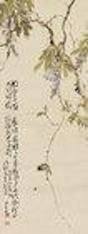 Bird and Wisteria by Zhao Shao'ang