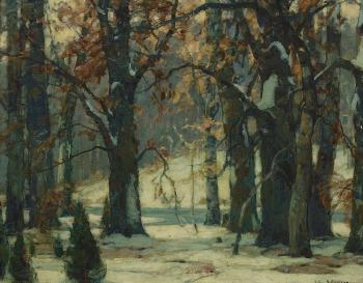 Early snow by John Fabian Carlson