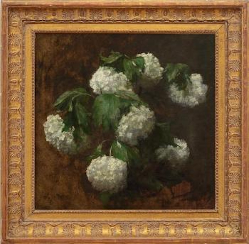 White hydrangeas by Victoria Fantin-Latour