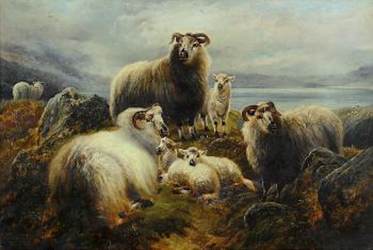 Paesaggio con montoni by Thomas Sidney Cooper