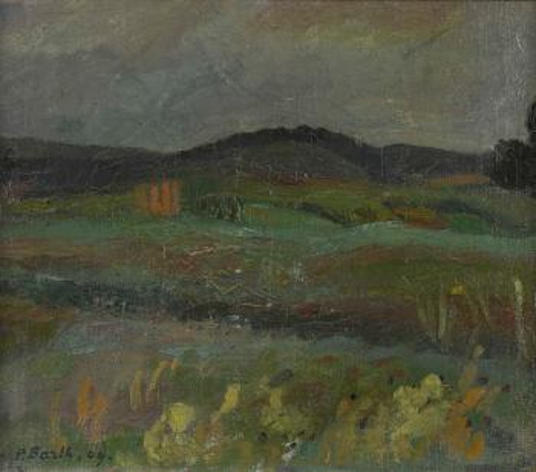 Insel Reichenau by Paul Basilius Barth